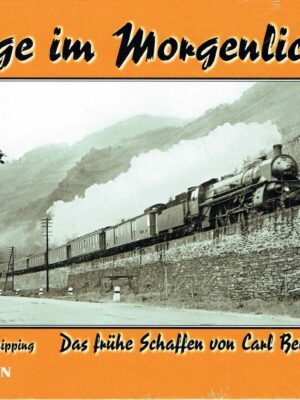 Züge im Morgenlicht!